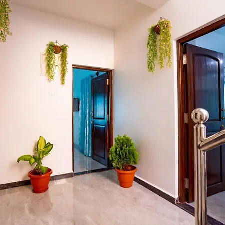 Goan Fiesta Studio Calangute Goaa